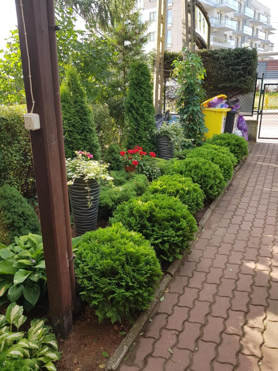 Spring, Garden, Garden view