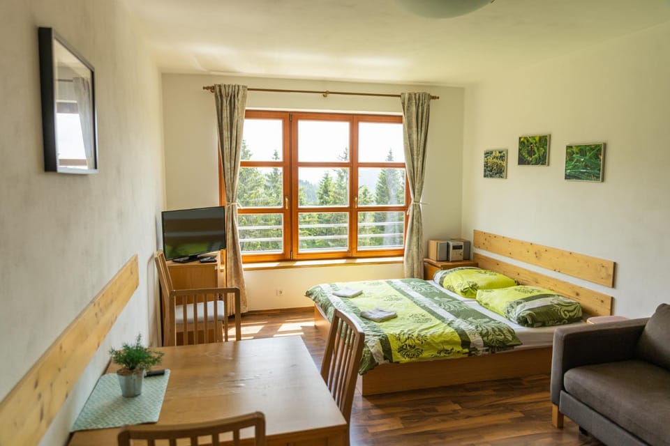 Vysokohorský Apartmán Cihlářka Apartment in Lower Silesian Voivodeship