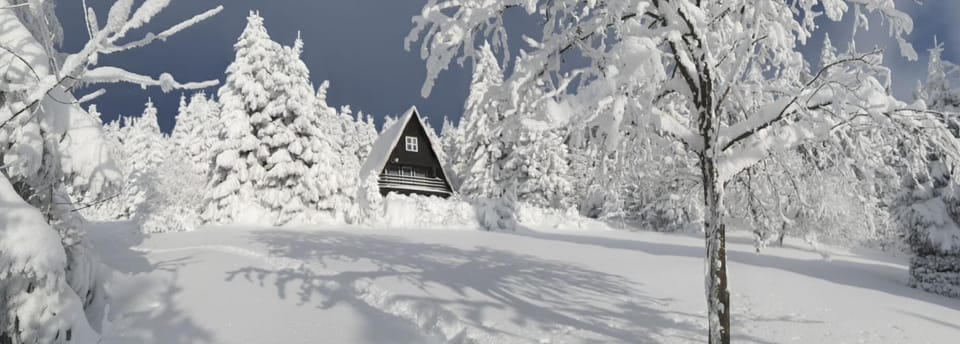 Property building, Winter