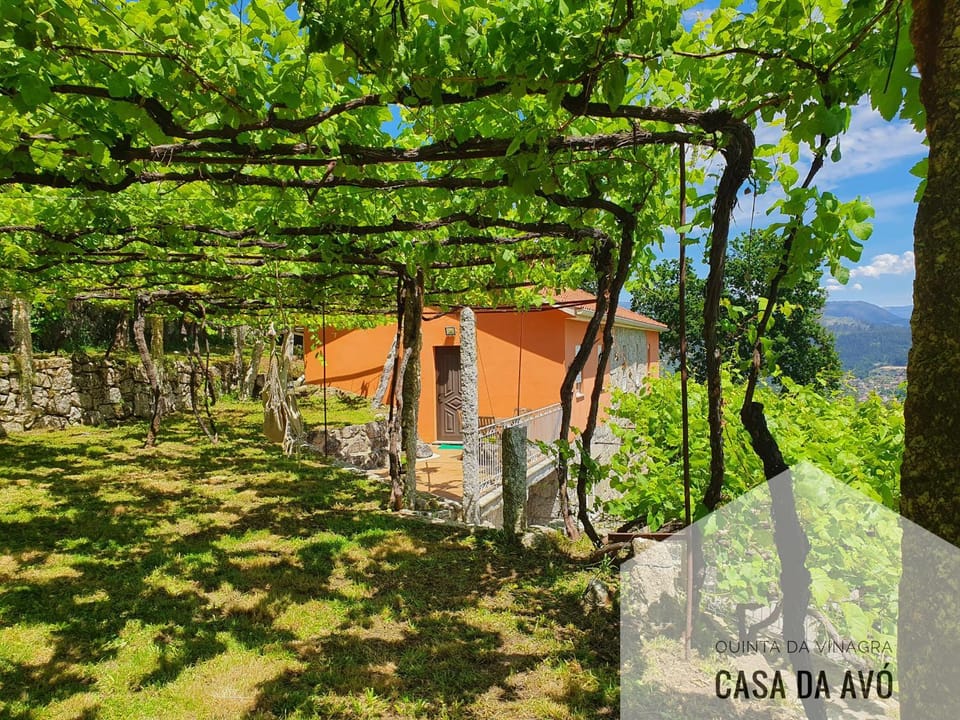 Quinta da Vinagra House in Viana do Castelo District, Portugal