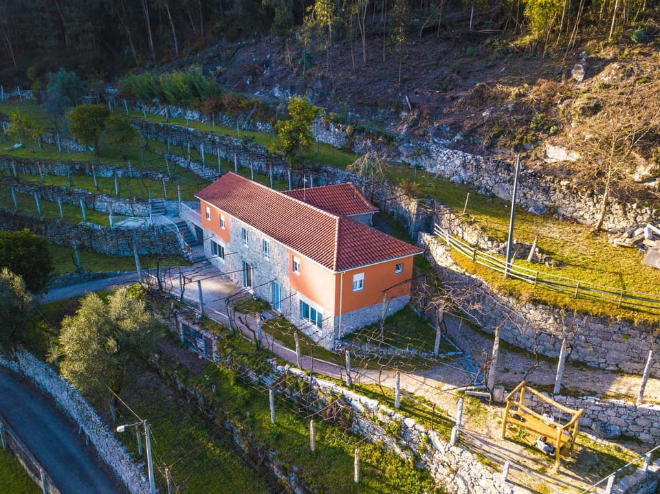 Bird's eye view, Garden view, Location