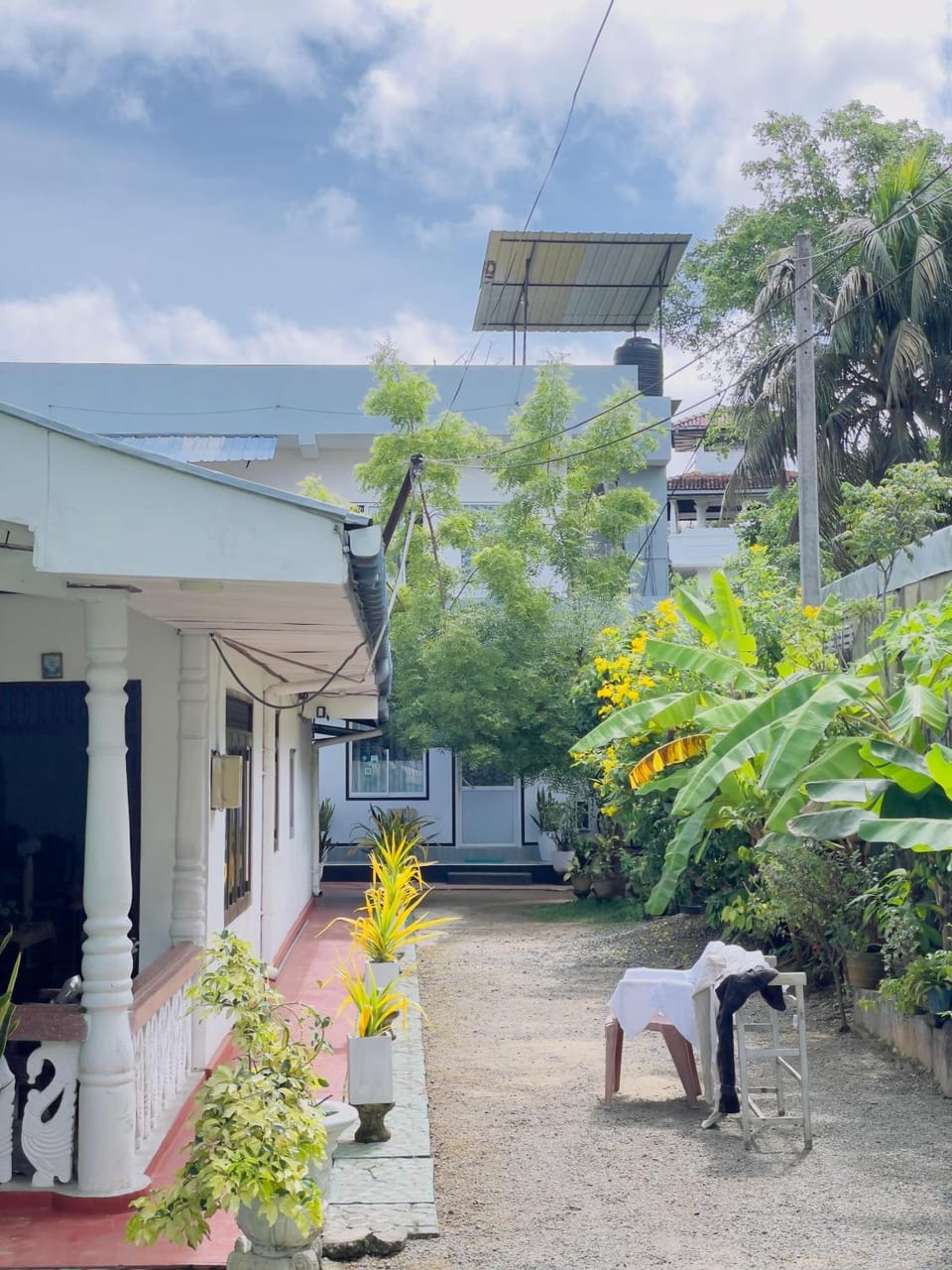 Garden view