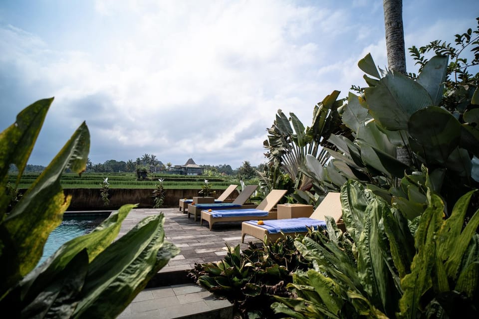 Patio, Spring, Day, Garden, Living room, Seating area, Garden view, Pool view, Swimming pool, sunbed