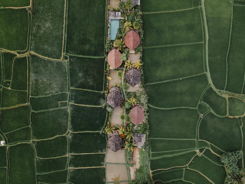 Day, Neighbourhood, Natural landscape, Bird's eye view