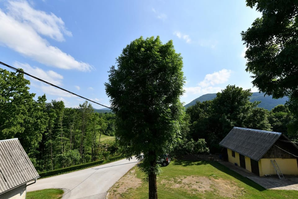Quiet street view