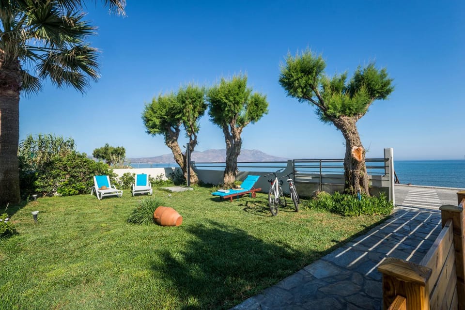 Summer, Garden, Garden, sunbed