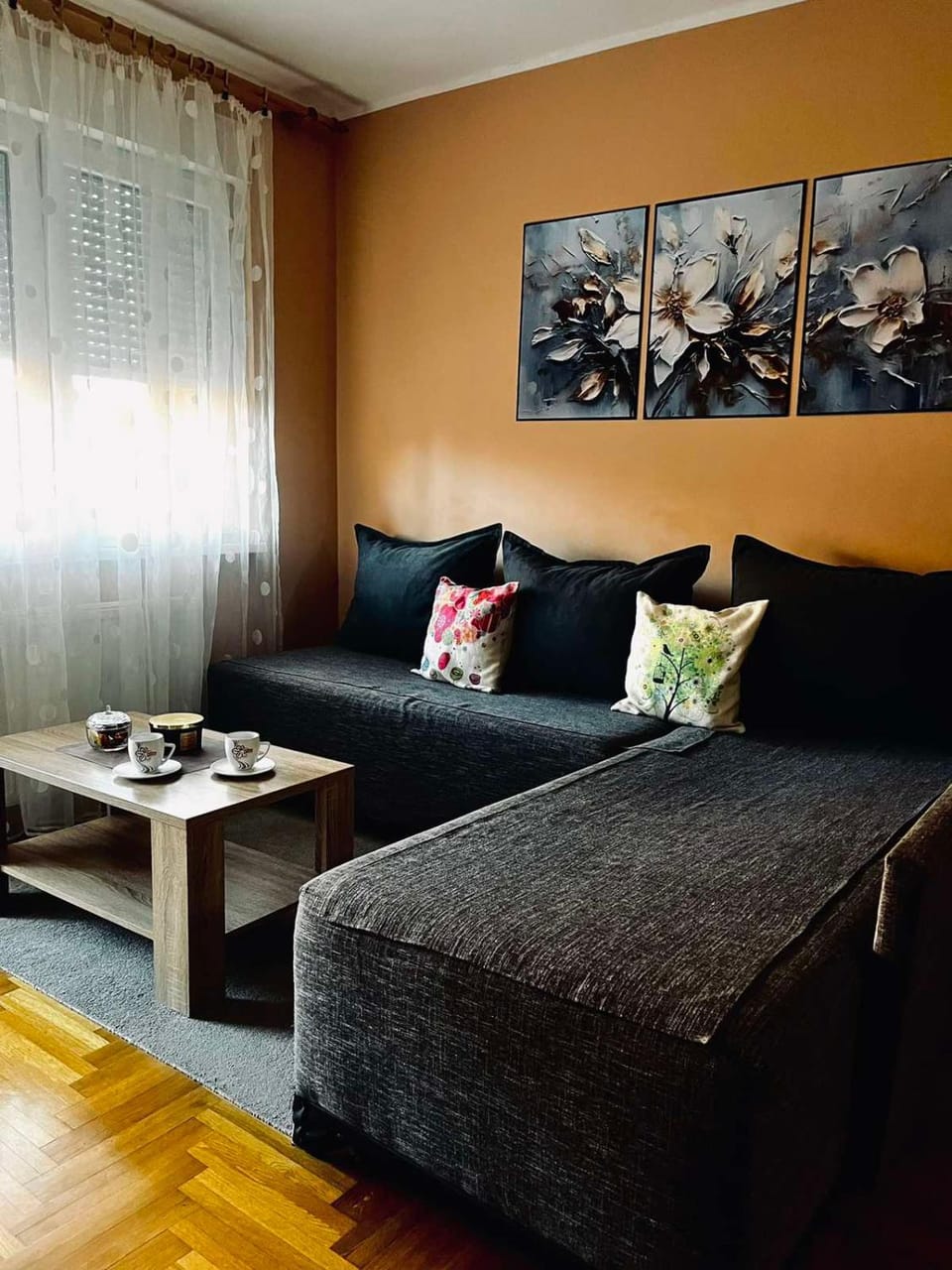 Apartman Milkovic 2 Apartment in Vojvodina