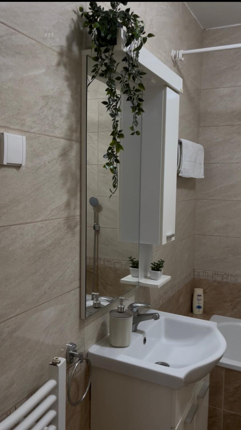 Apartman Milkovic 2 Apartment in Vojvodina