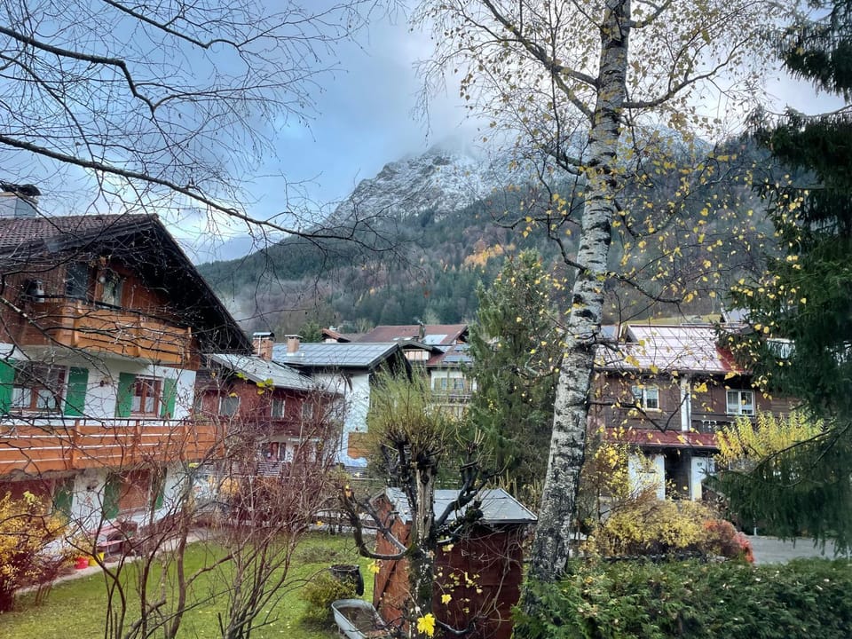 Garden view