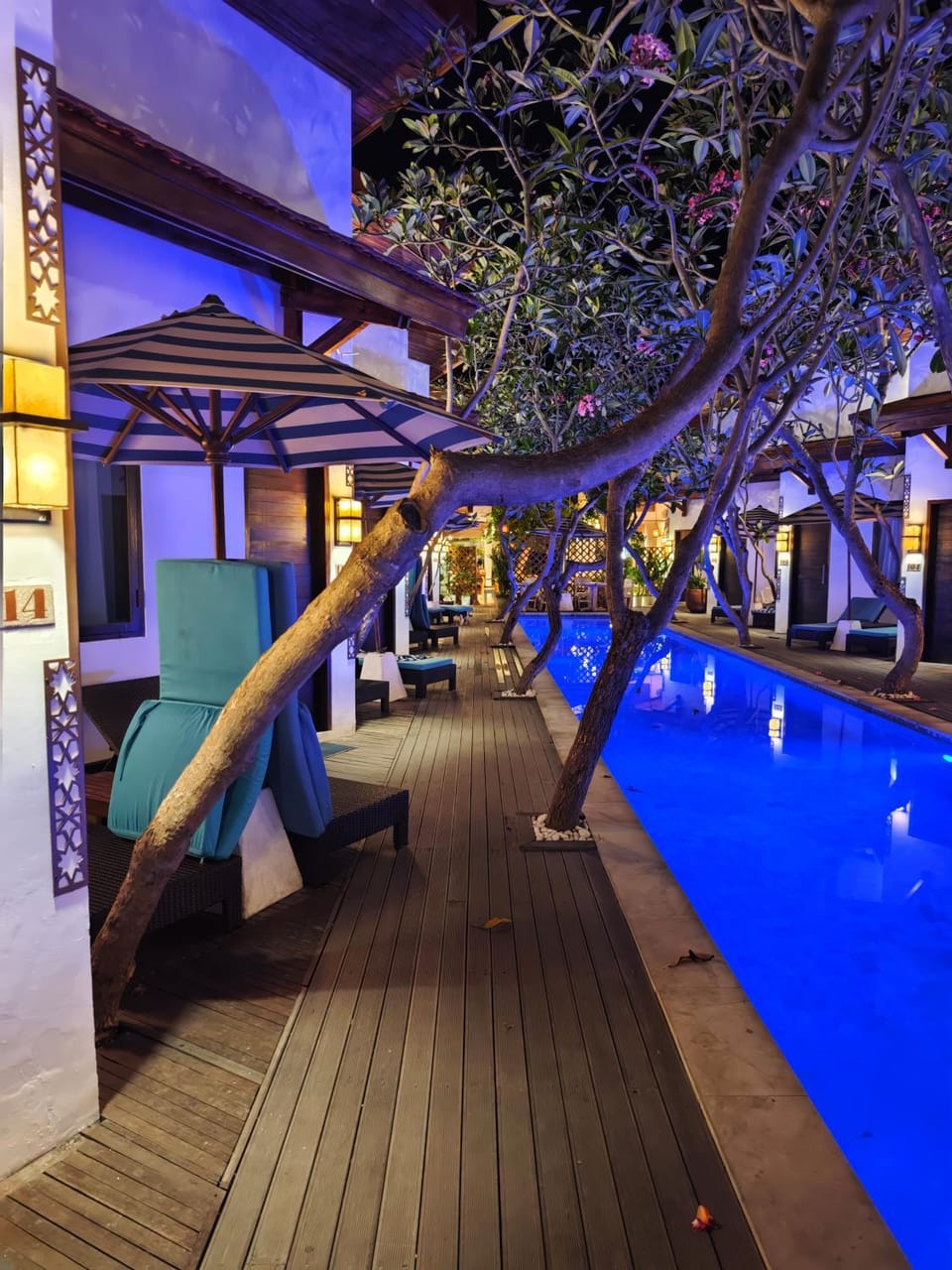 Night, Pool view