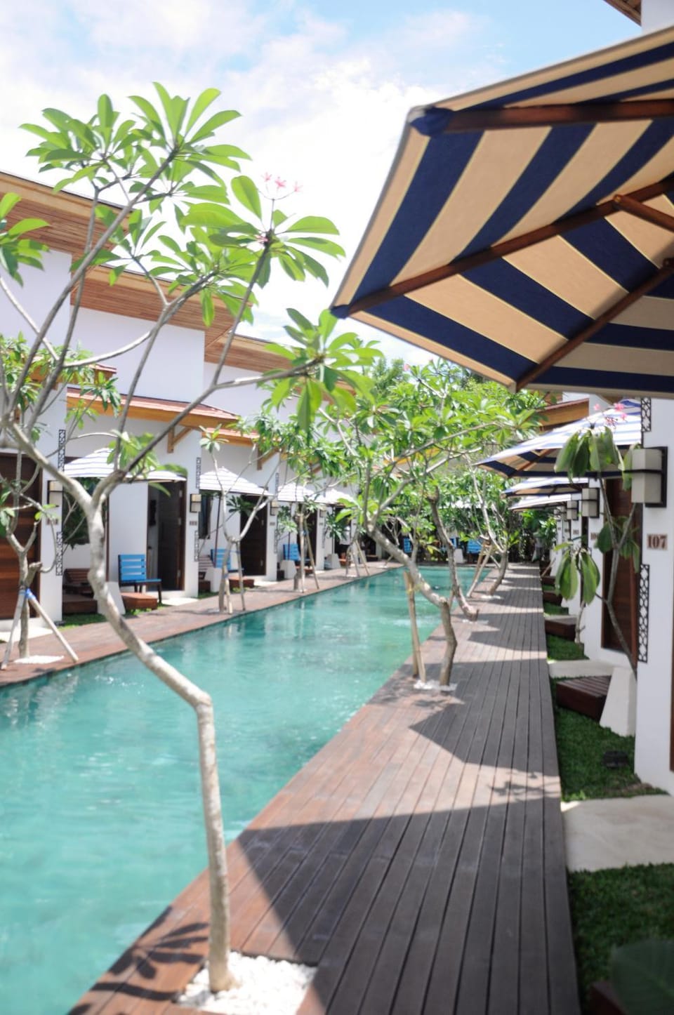 Pool view, Swimming pool