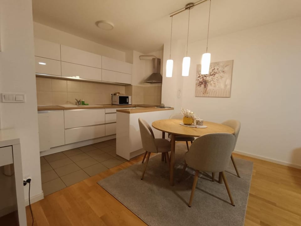 Kitchen or kitchenette, Dining area