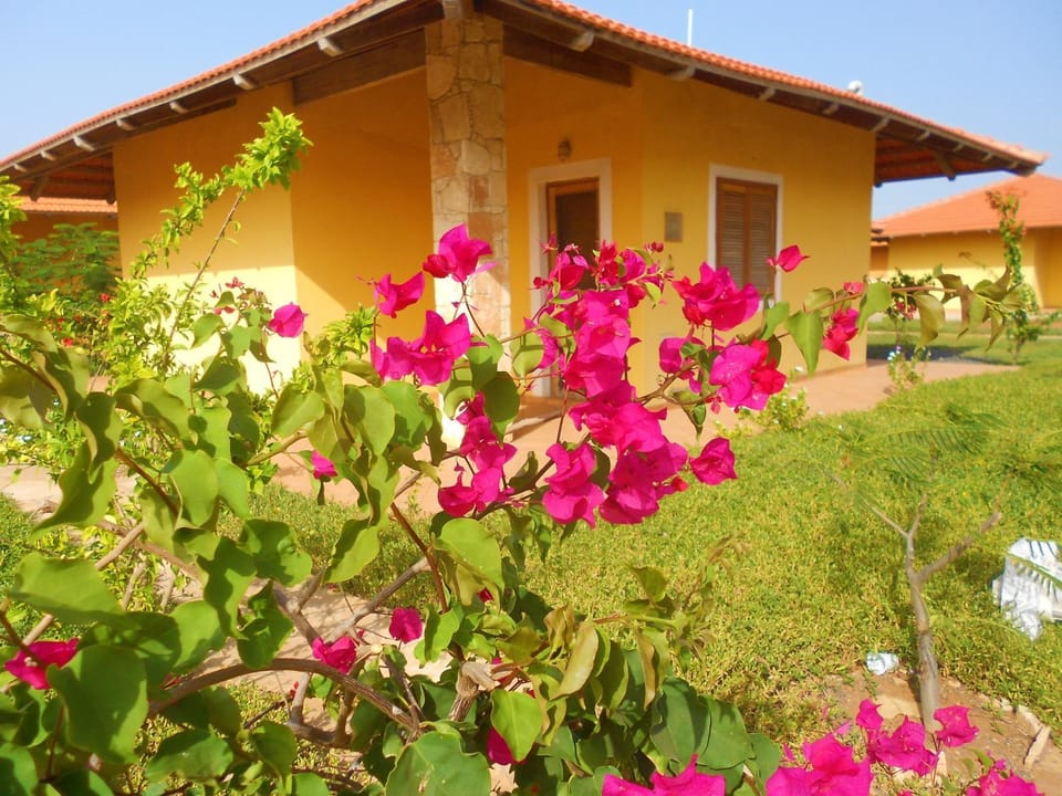 Property building, Garden, Garden