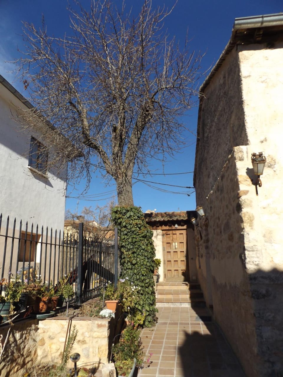 Property building, Patio, Nearby landmark, Facade/entrance, Day, Neighbourhood, Natural landscape, Winter, Garden, View (from property/room), Other, Other, Decorative detail, On site, City view, Garden view, Street view, Area and facilities, Area and facilities