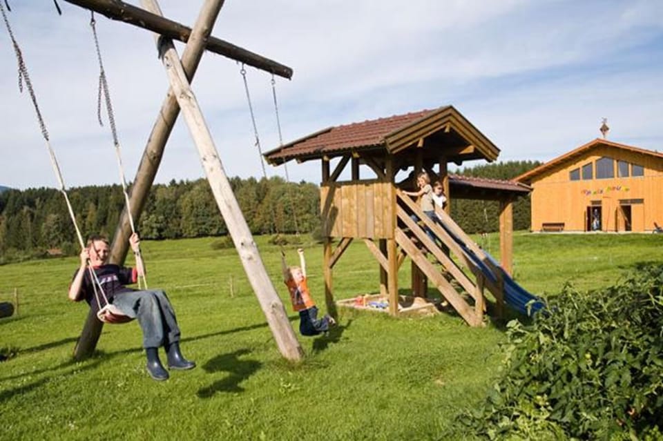 Children play ground, Garden