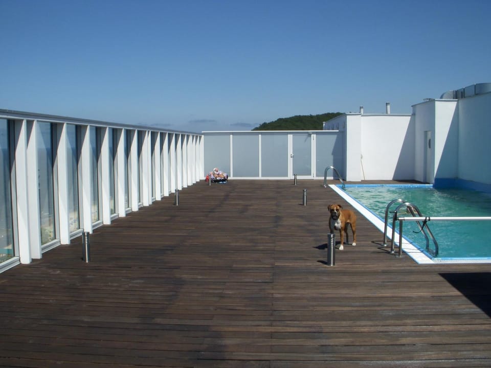 Your Holidays Promenada Gwiazd 28 with Sea View & Free Sauna Apartment in Miedzyzdroje