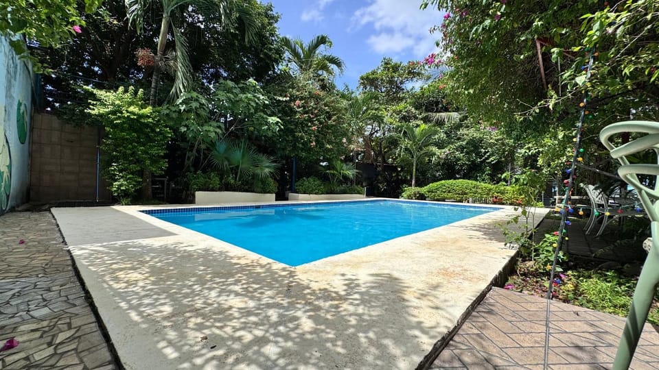 Day, Garden, Garden view, Pool view, Swimming pool