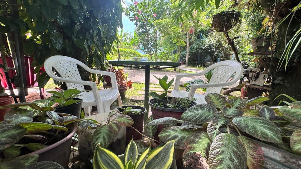 Garden, Garden view