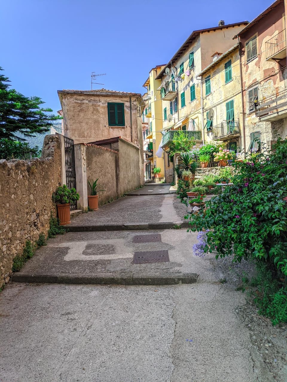Neighbourhood, Street view
