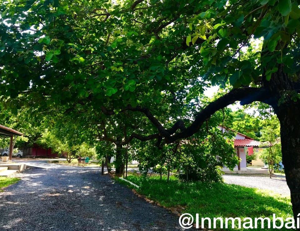 Natural landscape, Garden