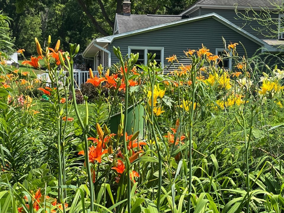 Garden view