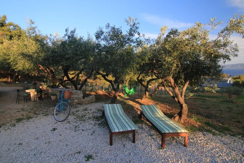 Location, children, Family