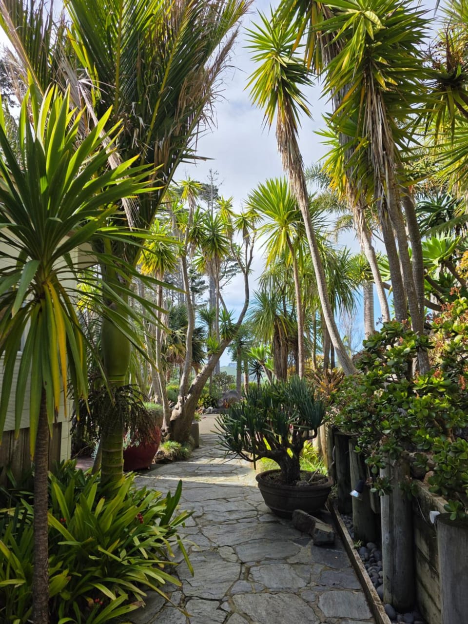Garden view