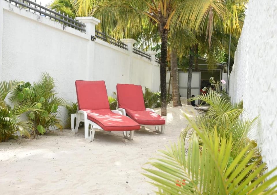 Beach, sunbed