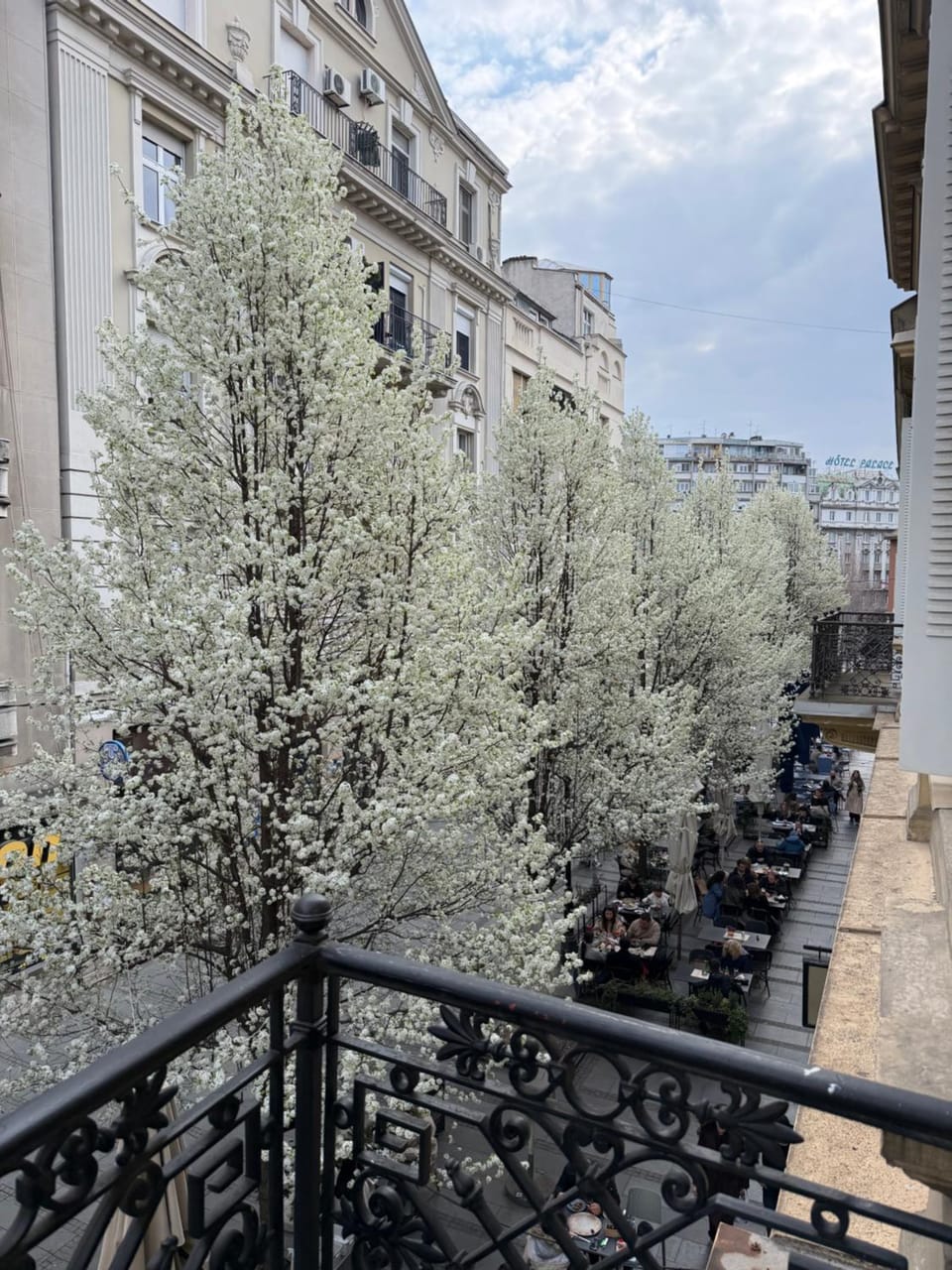 Lella Apartment - Pedestrian zone & Charming balcony Apartment in Belgrade