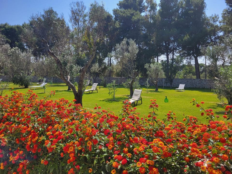 Garden, Garden view