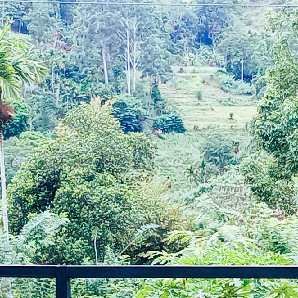 Natural landscape