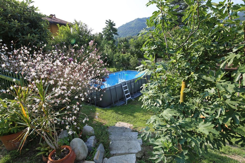 Garden, Swimming pool