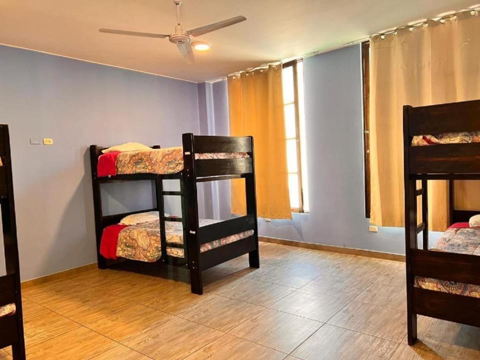 Bed, Photo of the whole room, Bedroom, bunk bed