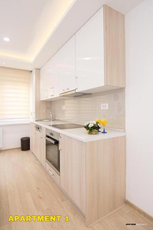 Residence 14 Sarajevo Apartment in Sarajevo