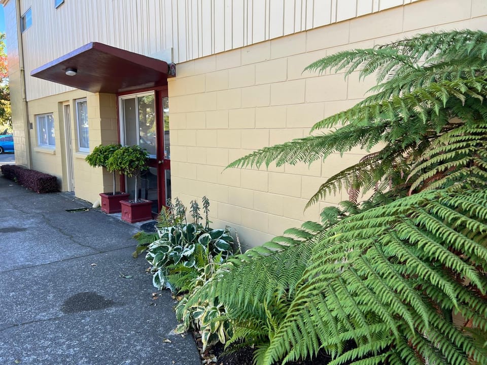 Property building, Garden, Garden view