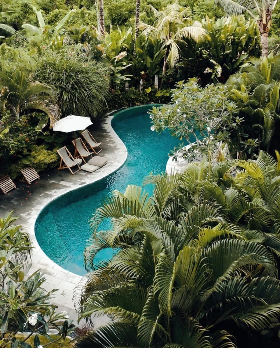 Garden, Swimming pool