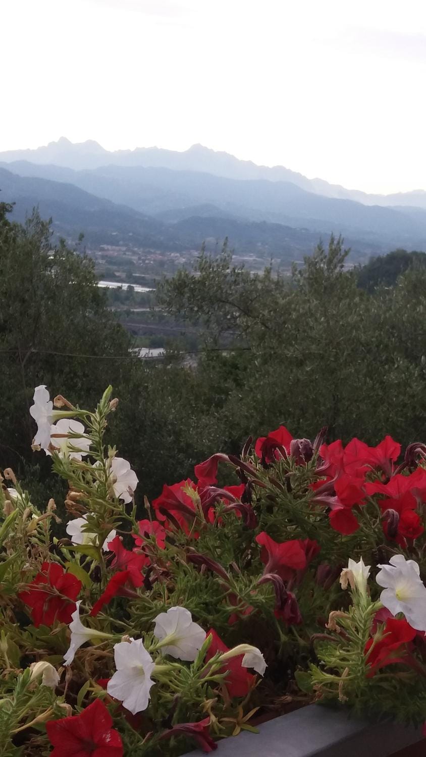 Balcony/Terrace, Mountain view