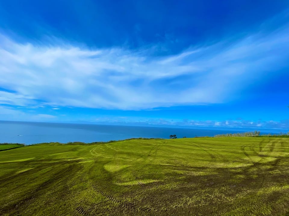 Natural landscape