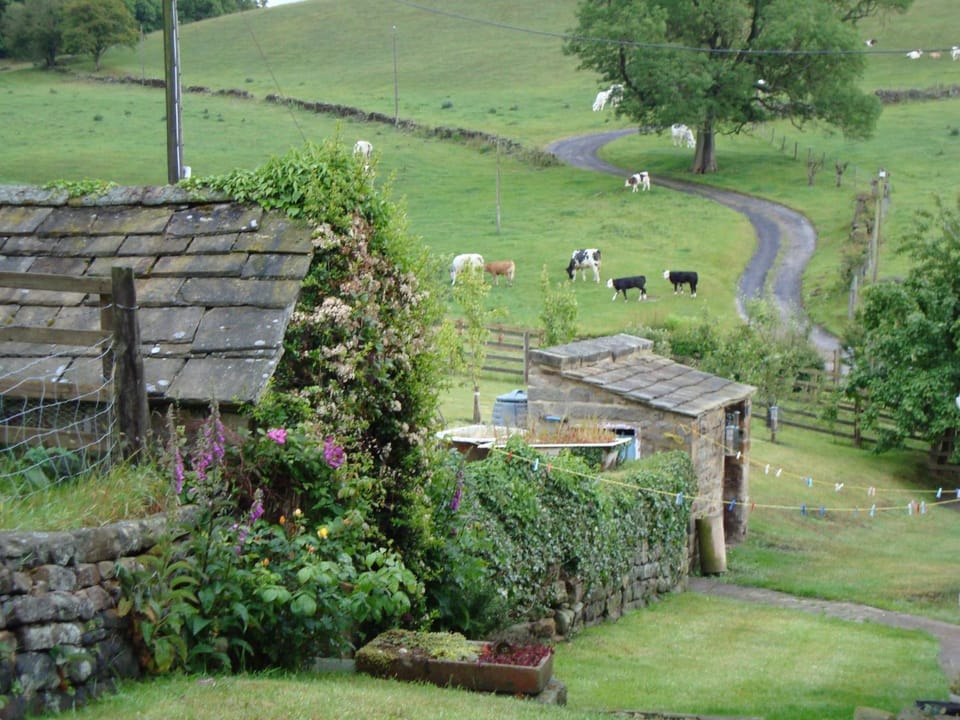 Neighbourhood, Natural landscape