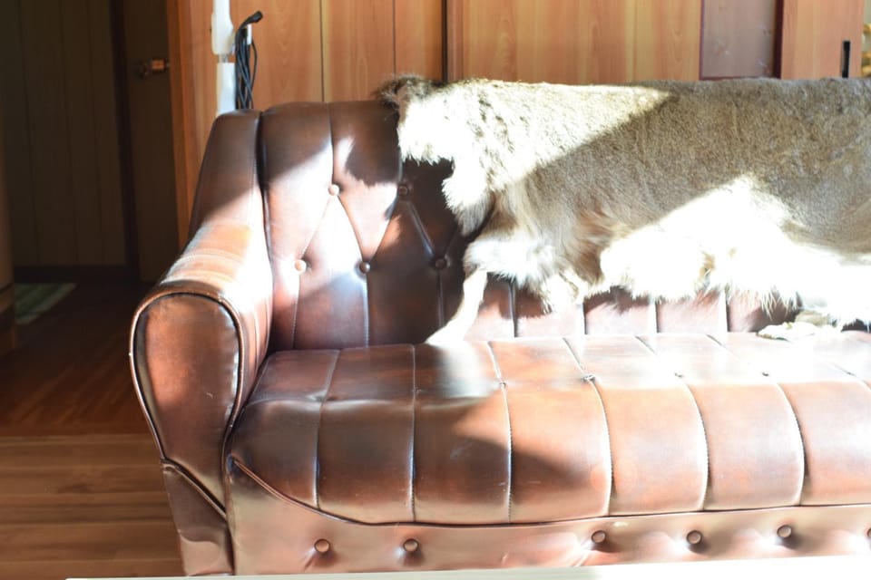 Shoei backpackes hostel Bed and Breakfast in Hokkaido Prefecture