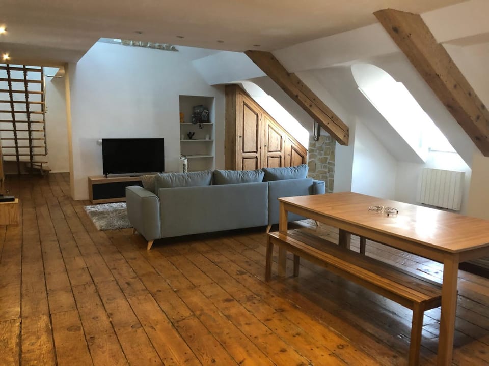 Loft dans les Pyrénées Apartment in Nouvelle-Aquitaine