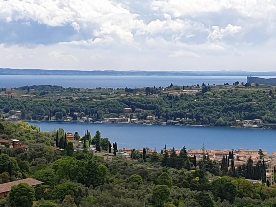 Lake view