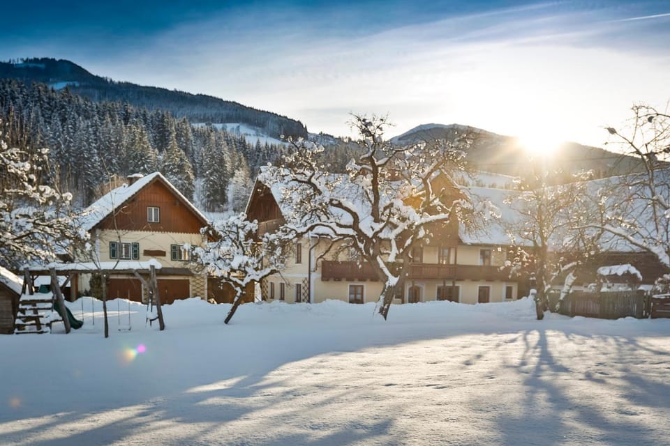 Facade/entrance, Winter, Garden