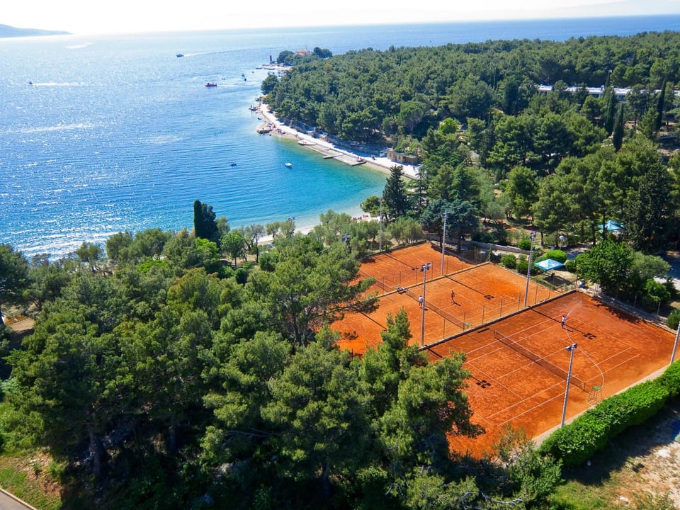 Neighbourhood, Natural landscape, Tennis court