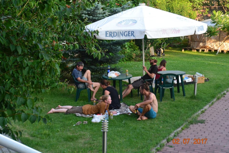 Day, People, Natural landscape, Garden, group of guests