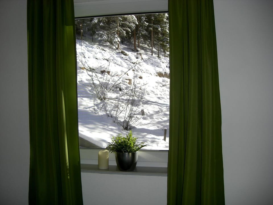 Alpine Appartement Apartment in Tyrol