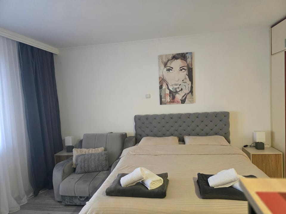 Apartman Radan M Apartment in Zlatibor