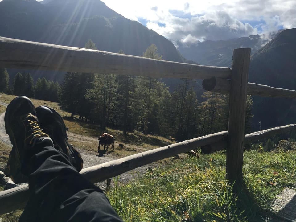Almhuette-Gipper House in Carinthia, Austria