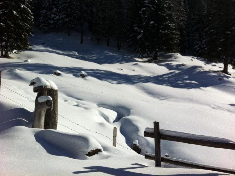 Almhuette-Gipper House in Carinthia, Austria
