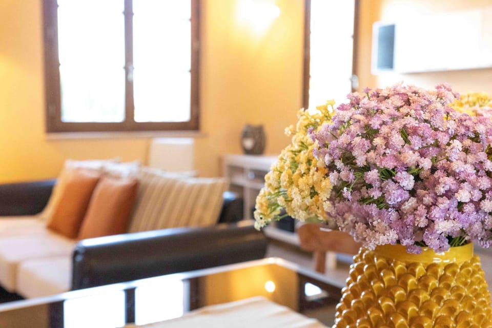 Living room, Decorative detail, Seating area, Dining area, Lunch, Lunch